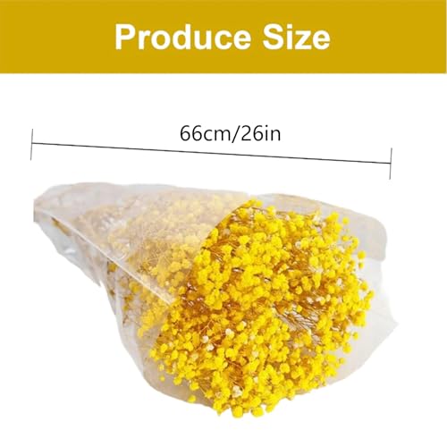 Flor natural de aliento de bebé seca 50 cm para decoración miniatura 3