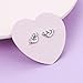 Yearace Sea Otter Stud Earrings - Cute Otter Design, Symbol of Friendship & Love, Hypoallergenic 925 Sterling Silver -Gift for Women, Daily Wear & Special Occasions