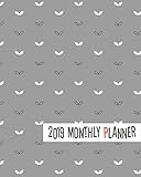 2019 Monthly Planner: Yearly Monthly Weekly 12 months 365 days Planner, Calendar Schedule, Appointment, Agenda, Meeting