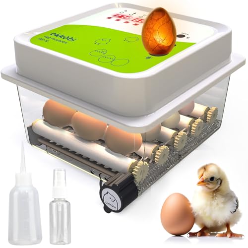 Okköbi OBI-12 Couveuse Automatique – Incubateur à œufs pour 12 œufs avec Retournement Automatique - Couveuse Poule pour œufs de Poule, Caille et Canard - Vert
