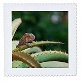 Square dimensions (in inches): 16 L x 16 W, image dimensions (in inches): 14 L x 14 W 100% poloyester; image is soft to touch. Made in USA Edges have pinking shear cut Image will not fade with washing. Image not a transfer, part of material