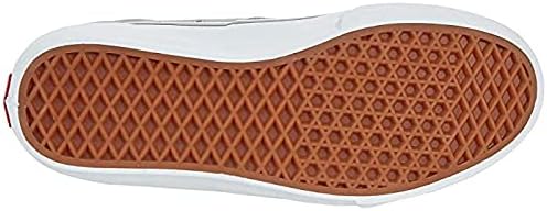 Vans Zapatillas de skate Rowan Pro 