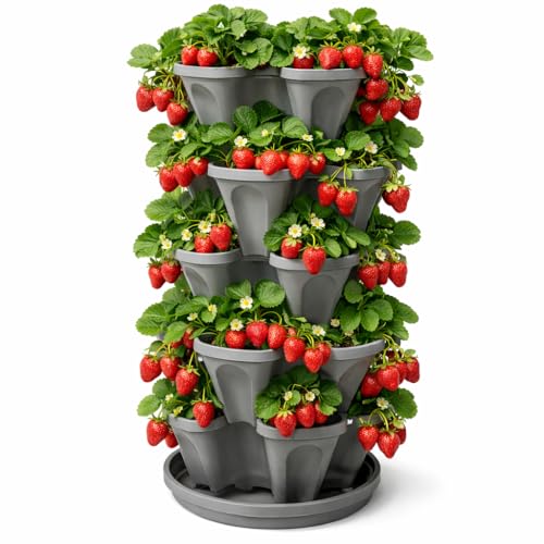 5-Tier Stackable Strawberry Garden – 24 Quart Indoor / Outdoor Stacking Planter with Drip Saucer – Grow Herbs, Strawberries, and Flowers from The Kitchen or Backyard – Plant and Stack! Easy Gardening