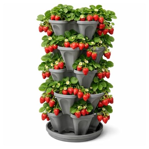 5-Tier Stackable Strawberry Garden – 24 Quart Indoor/Outdoor Stacking Planter with Drip Saucer – Grow Herbs, Strawberries, and Flowers from The Kitchen or Backyard – Plant and Stack! Easy Gardening