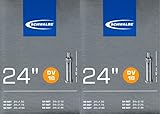 Schwalbe
