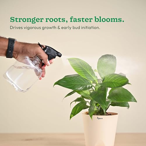 Image of Ugaoo InstaGrow NPK 12:61:00 Fertilizer (250g) | High Phosphorus Water-Soluble Fertilizer for Fast Root & Flower Growth | Ideal for Fruits & Vegetables