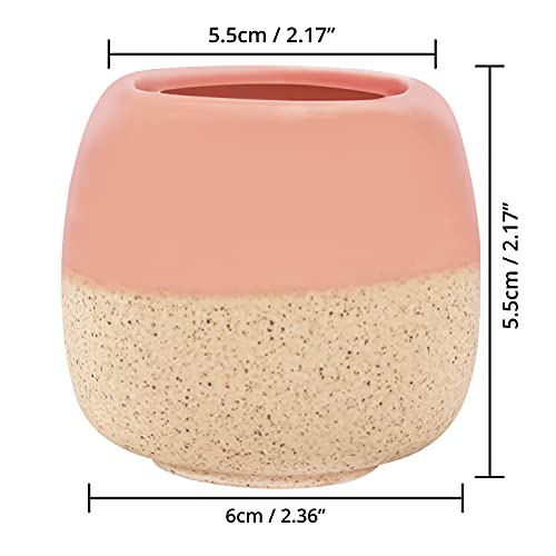  BELLE VOUS Mini Vasi Ceramici per Piante Grasse - Decorativi per Ufficio e Casa
| BELLE VOUS Vasi Ceramiche con Fori di