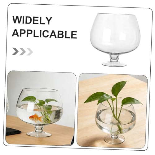 Aquarium pour Betta et vase hydroponique pour une décoration de bureau zen