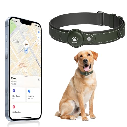 Dog GPS Tracker Collar with Real-Time Location (iOS)