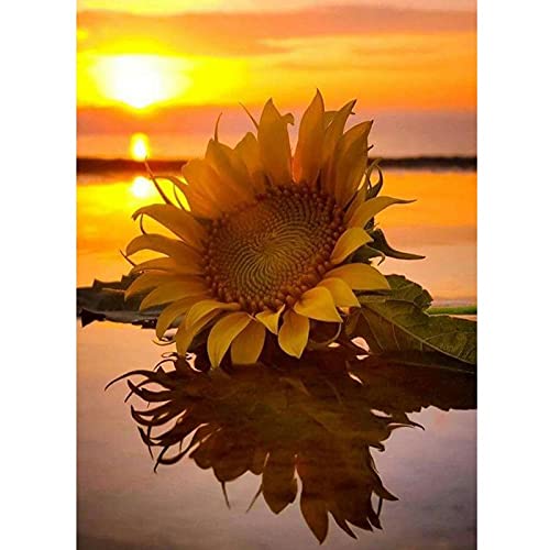 Broderie Diamant Salon Kit Complet Grand Format Fleur Coucher de Soleil