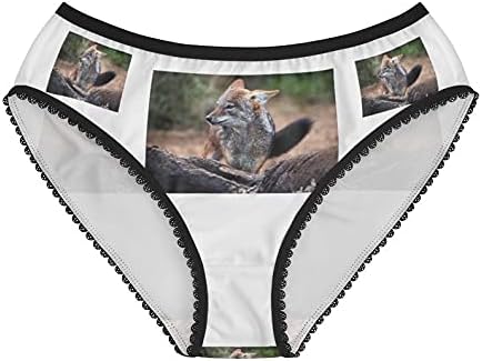 Black Backed Jackal Stock, Briefs, Cotton Briefs, Funny Underwear, Panties For Women