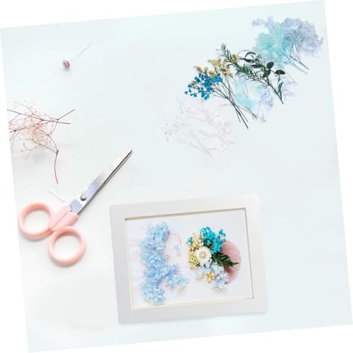 Real Dried Flowers Material para Manualidades Kit miniatura 4