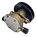 Heurofosh 12837742500 Sea Water Pump for Yanmar 2GM 3GM Johnson 10-24509-01 24509-02 10-13337-01