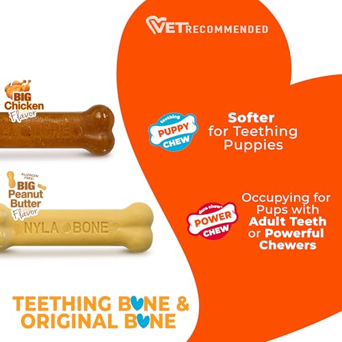 Nylabone Puppy Chew Teething Bone & Original Bone Dog Chew Toys, 2 Count | X-small chew bones for puppies up to 15 lbs, chicken & peanut butter flavor, soothing teething toys for puppies