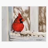 Red Cardinal Bird in The Snow Sticker Decal Laptop Car Window Vinyl 5"