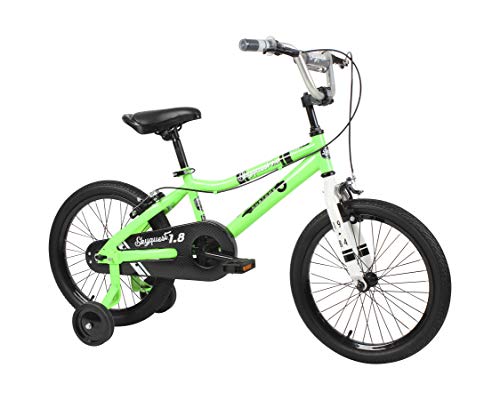 Duzy Kids Bike 18 Inch with Dual Handbrakes, Quick Assembly Training Wheels and Fold Out Pedals in Green