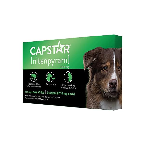 CAPSTAR (nitenpyram) Oral Flea Treatment for Dogs, Fast Acting Tablets