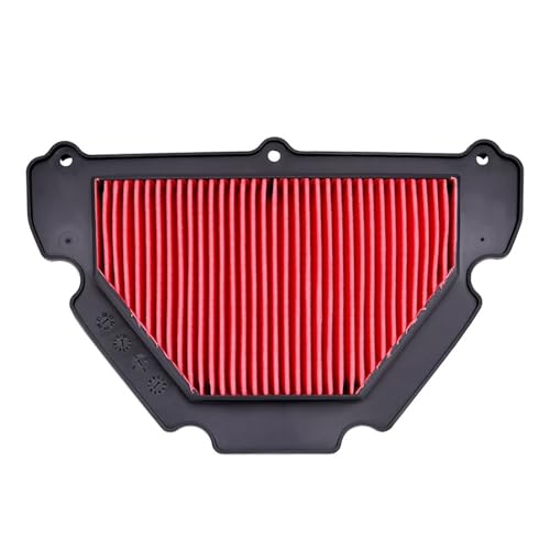 Filtre à air pour moto 450RR et ZF400GS-A Road Passion nettoyeur d'admission