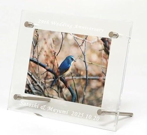 ANtHgt[ LłP cp Xg[giDȕꖳIj