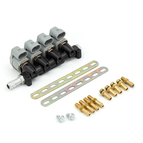 Fuel Injector Sequential Fuel System Injection Auto Gas Conversion Kit Injector Rail 2 or 3 ohm Car(3ohm)