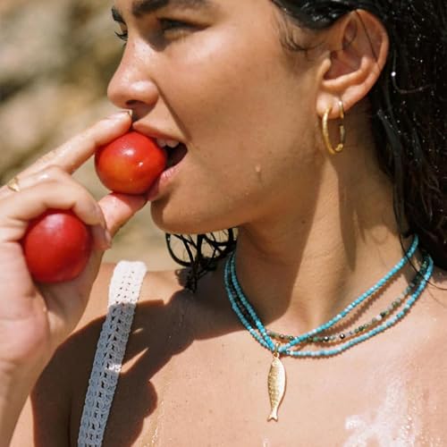 Boho Fish Necklace for Women - Blue Natural Stone Fish Pendant Necklace, Bohemian Beach Jewelry Colourful Jewelry for Summer Vacation2