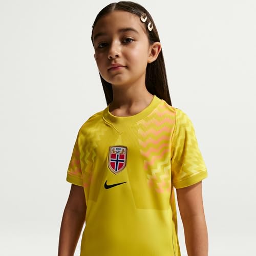 Maillot Norvège Junior Nike Gardien de But 2026