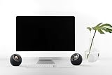 CREATIVE Pebble V2 - Minimalistic 2.0 USB-C Powered Desktop Speakers, 3.5 mm AUX-in, Up to 8W RMS Power for Computers and Laptops, Type-A Adapter Included and Extended Cable (Black) - 2