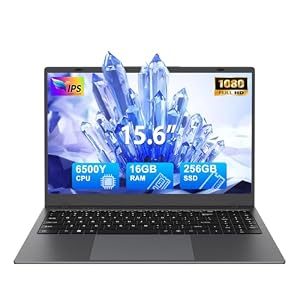 LEOXYN 15.6 Inch Laptop, Pentium Gold 6500Y Processor(Up to 3.4GHz) 16GB RAM 256GB SSD, 170°Flip Schermo FHD 1920 * 1080, 2*Type-c, 2*USB 3.2, BT 5.0, 5000mAh Long-Battery