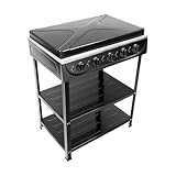 Owneed Cocina de gas con 5 fuegos para gas natural, cocina de gas independiente con 5 quemadores de 2,5 kW, hornillo de gas de encendido manual para camping, autocaravana y exterior