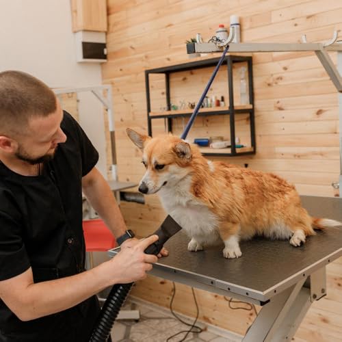 Haustier Fellpflegeschlaufe, 3 Stuck Hundepflege-Sicherheitsseil, Nylon Haustier Grooming Schlaufen Leine zum Baden von Hunden, Katzen