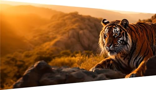 Peinture diamant adulte paysage tigre pour decoration murale salon