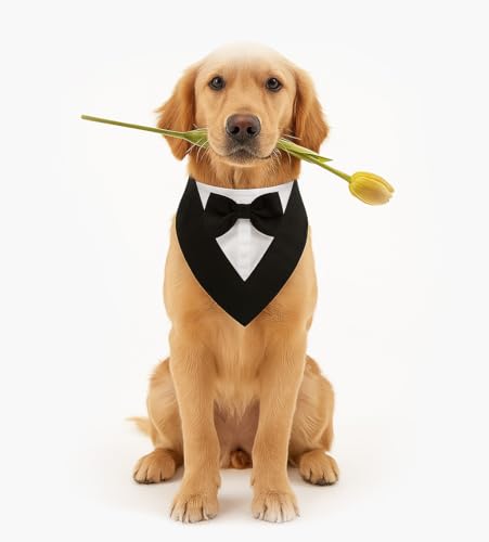 Smoking-Halstuch für Hunde – Eleganter Hundekragen für Hochzeit, Geburtstag & Fotoshooting – Verstellbarer Haustier-Schal im Anzugstil – Festliches Hundeaccessoire (Smoking Schwarz/Weiß, M)