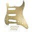 Gold-1ply (Anodized Aluminum)