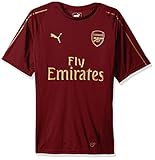 PUMA Men's Arsenal Fc Training Jersey Ss