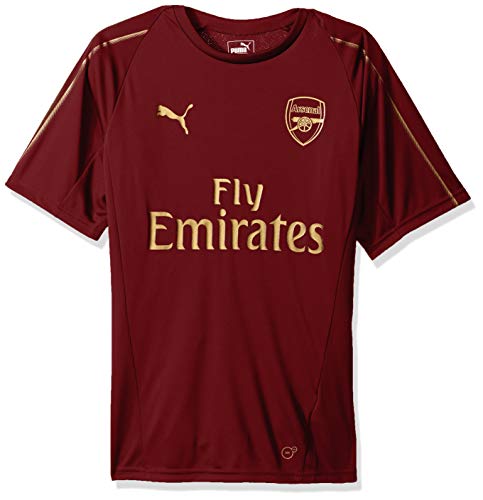 PUMA Men's Arsenal Fc Training Jersey Ss