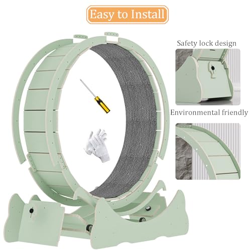 Rueda de ejercicio para gatos – Cinta de correr interior para animales pequeños, dispositivo de fitness y pérdida de peso, juguete para mascotas