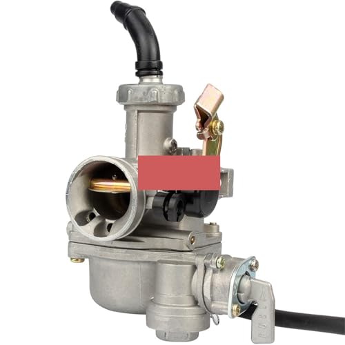 Carburateur PZ19 19mm avec starter à câble et robinet pour moto DY100