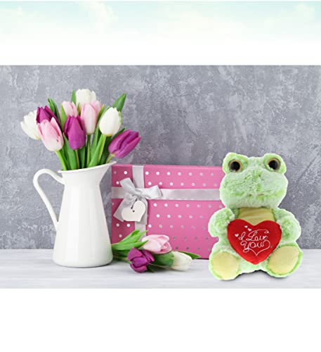 Dollibu Sitting Frog Valentine's Day I Love You Heart Plush - Personalized Super Soft Plush Heart Romantic Stuffed Animals For Anniversary Long Distance Relationship - 6.5 Inches #TOP5