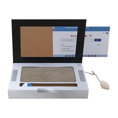 KQFCAZRE m[gp\Rp܂Ƃ Lp i{[ Lp܂Ƃ Lp qLp܂Ƃ