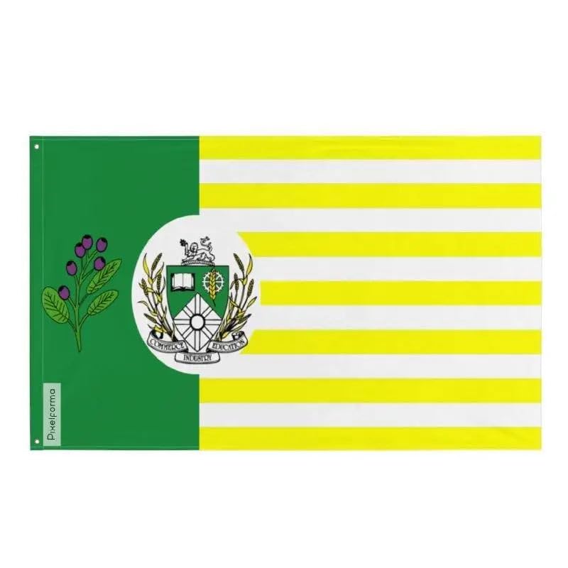 Drapeau Saskatoon pour extérieur et intérieur décorez vos événements et espaces de vie