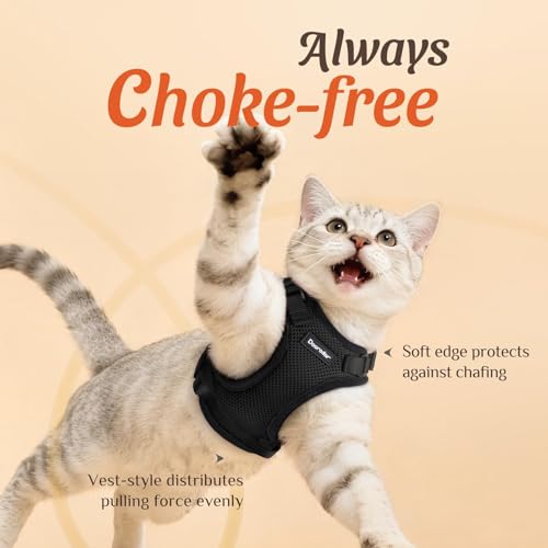 Image of Dooradar Cat Harness and Leash Set, Escape Proof Safe Adjustable Kitten Vest Harnesses for Walking, Easy Control Soft Breathable Mesh Jacket with Reflective Strips for Cats, Black, XS