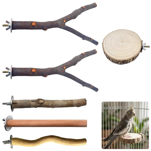 6pcs Bird Perches Natural Wooden Parrot Stand Set Bird Cage Perches Platform Budgie Perch for Cage Parakeet Climbing Standing Branches for Cockatiels Lovebirds