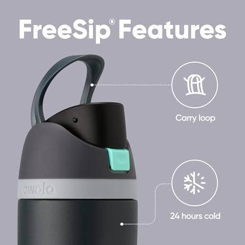 Image of Owala FreeSip Insulated Stainless Steel Water Bottle with Straw for Sports and Travel, BPA-Free, (Foggy Tide)