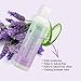 EDEN BodyWorks Lavender Aloe Leave In Conditioner (8 oz) - Moisturize Dry, Damaged Hair - Formulated For All Hair Types