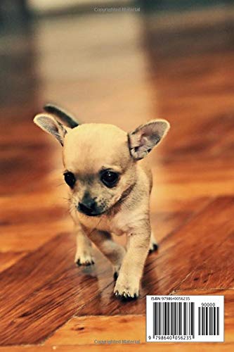 I Love My Chihuahua: A 6x9 Lined Notebook, Journal Gift for Chihuahua Lovers and Dog Lovers - Image 2