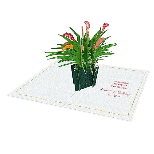 Designer Pop!a|bvAbvO[eBOJ[h ? ԕfUC 3DJ[[J[h Fl/Ƒ/ʂȐl (J[h1ƃsN̕1)