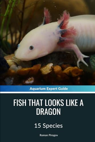 Fish That Looks Like A Dragon: 15 Species