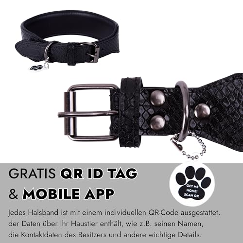 FAVPET Luxus Echtleder Halsband Hund Breit mit QR Code Anhänger, Gepolstertes Hundehalsband Leder Breit, Breites Lederhalsband Hund, Breite Hunde Halsbänder, Welpenhalsbänder Leder (Schwarz, M)