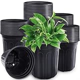 Plastique souple et réutilisable : fabriqué à partir de plastique souple résistant qui conserve sa forme après une utilisation répétée et un lavage doux, léger mais assez solide pour soutenir les jeunes systèmes racinaires sans se fissurer ou se déformer.