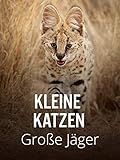 harnisch graz  Kleine Katzen - Große Jäger